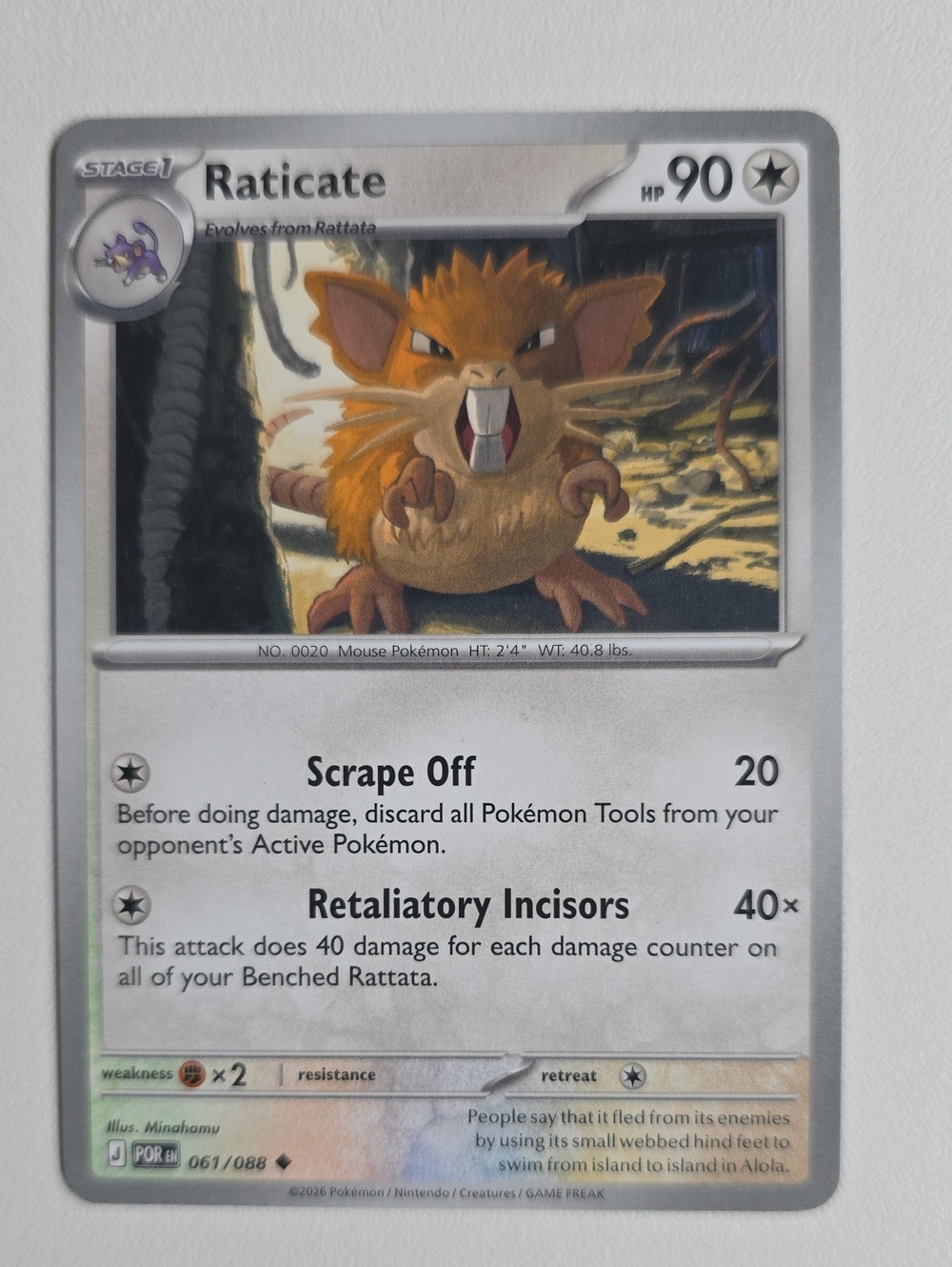 Pokemon Rattata And Raticate Card - Picture 4 of 5